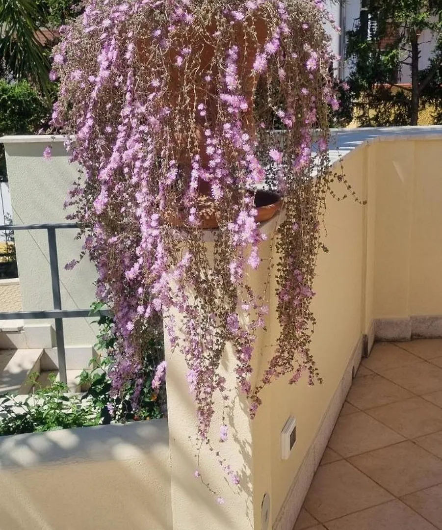 **** Hotel Villa Daphne Giardini-Naxos Italie
